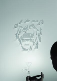 Joburg Zoo Night Tours: Night Tour Shadows 'Lion'